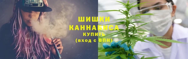 гидропоника Каменка