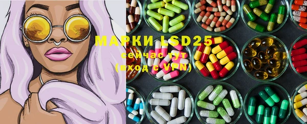 гидропоника Каменка