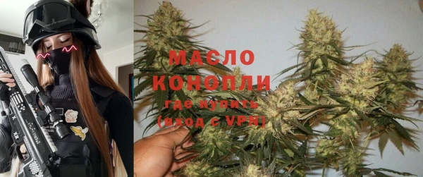 ешки Каменногорск