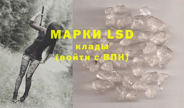 гидропоника Каменка