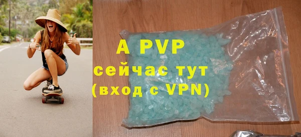 ешки Каменногорск