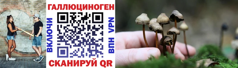 Псилоцибиновые грибы прущие грибы  Купить закладки  Болхов 